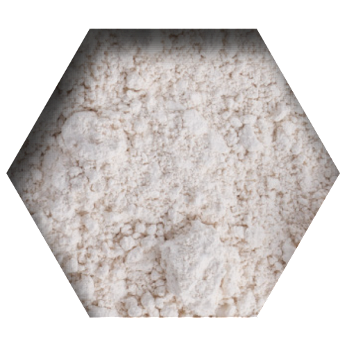 FLOORWHITE 5KG - podea alba - praf dezinfectant -