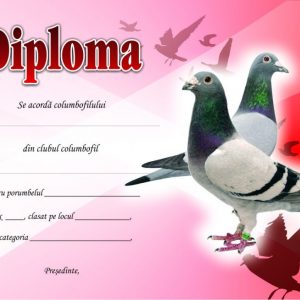 De vanzare - Diplome pentru premierea columbofililor si porumbeilor 2020