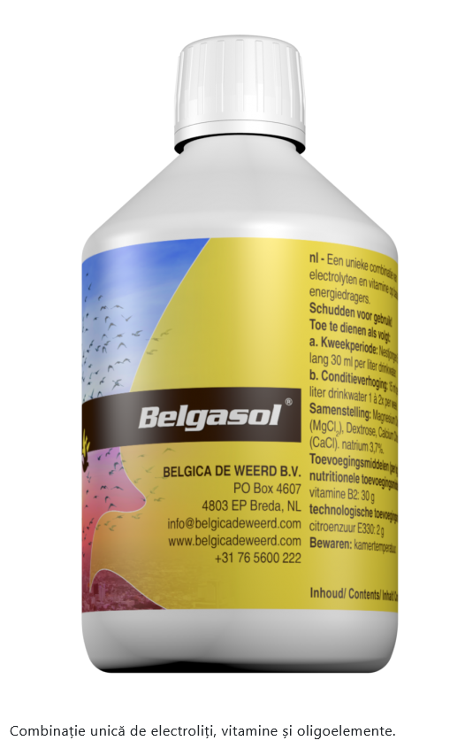 BELGASOL ,BELGICA DE WEERD, 500 ML, VITAMINE ȘI ELECTROLIȚI