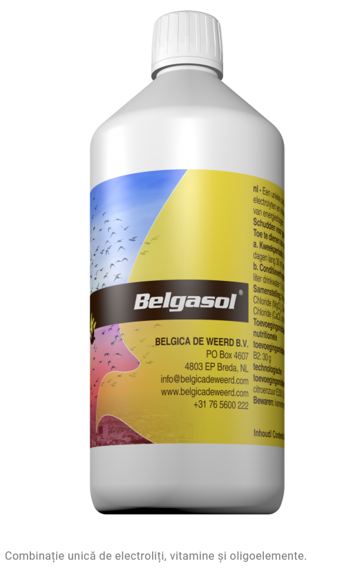 BELGASOL ,BELGICA DE WEERD, 1000 ML, VITAMINE ȘI ELECTROLIȚI