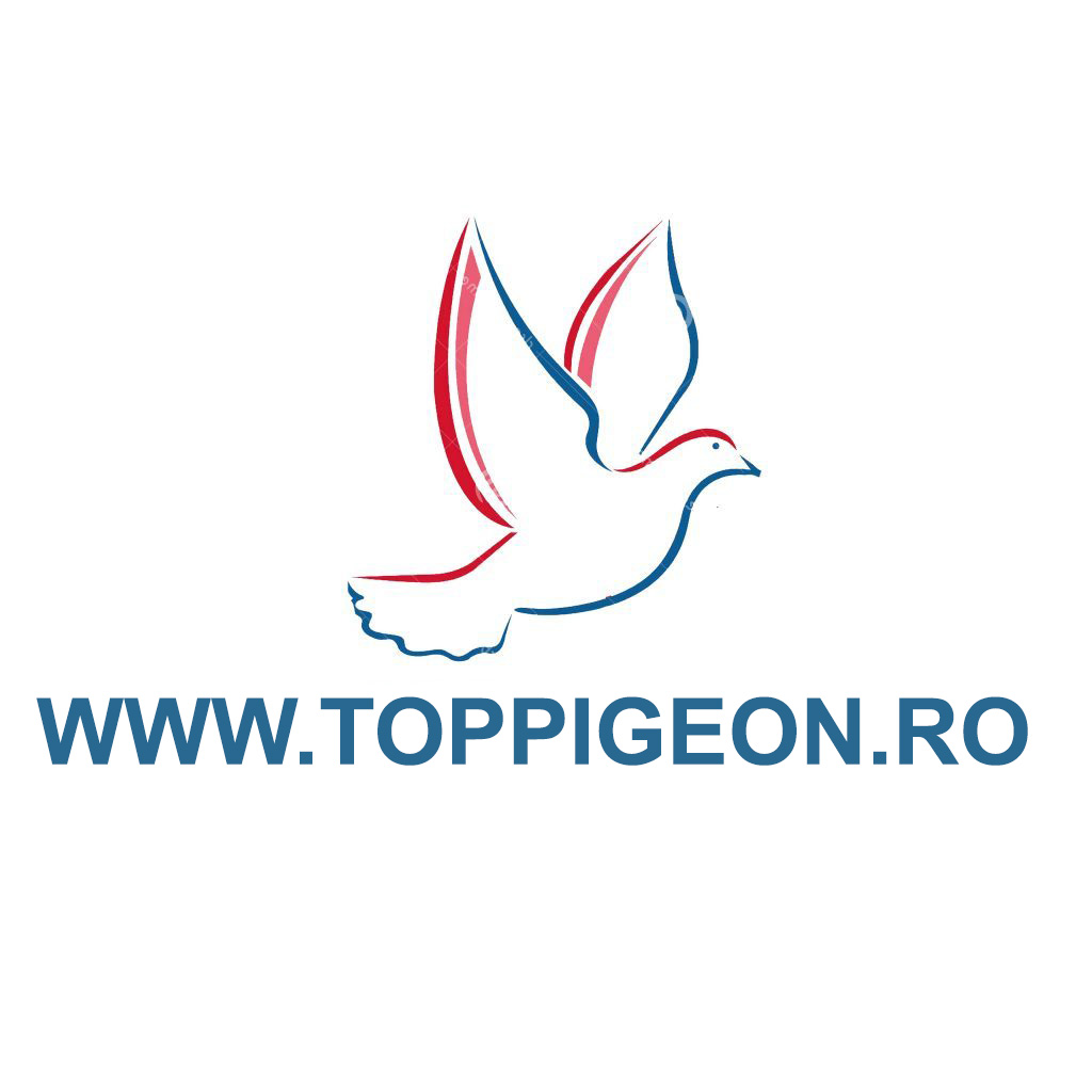Toppigeon.RO