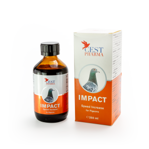 Impact - 250ml