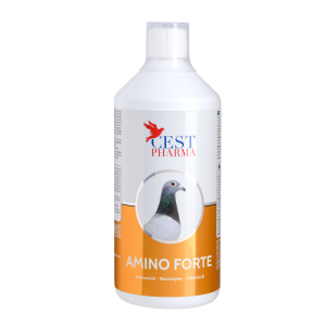 Amino Forte - 1000ml